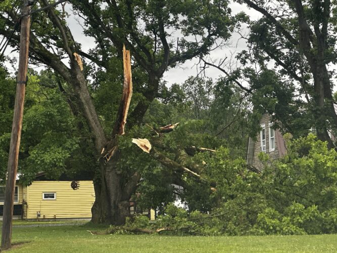 Wind uproots trees in Valley Bend